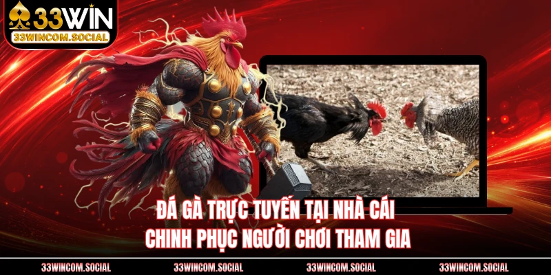Đá gà trực tuyến tại nhà cái chinh phục người chơi tham gia
