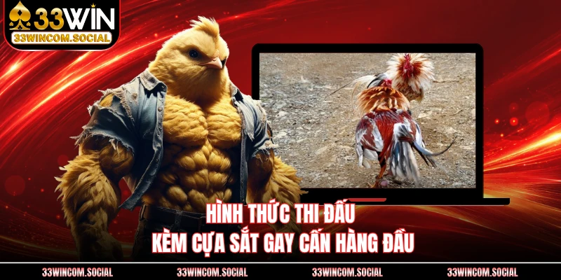 Hình thức thi đấu kèm cựa sắt gay cấn hàng đầu