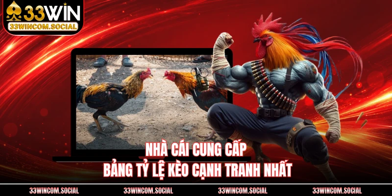 Nhà cái cung cấp bảng tỷ lệ kèo cạnh tranh nhất