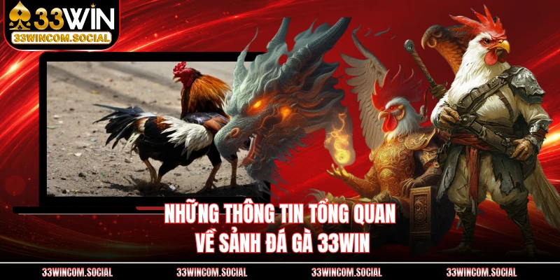 Những thông tin tổng quan về sảnh đá gà 33WIN