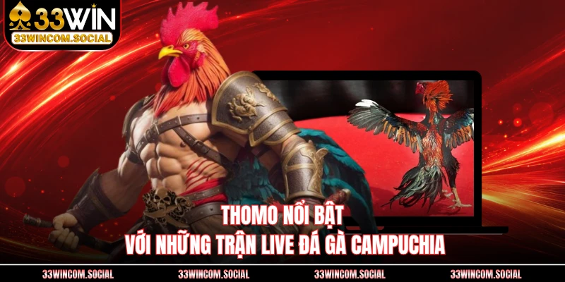 Thomo nổi bật với những trận live đá gà campuchia